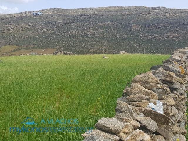 (For Sale) Land Plot || Cyclades/Mykonos - 11.100 Sq.m, 720.000€ 