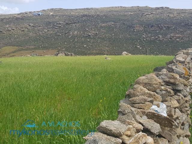 (Προς Πώληση) Αξιοποιήσιμη Γη Οικόπεδο || Κυκλάδες/Μύκονος - 11.100 τ.μ, 720.000€ 