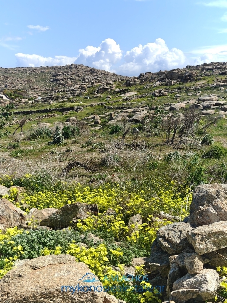 (For Sale) Land Agricultural Land  || Cyclades/Mykonos - 5.500 Sq.m, 420.000€ 